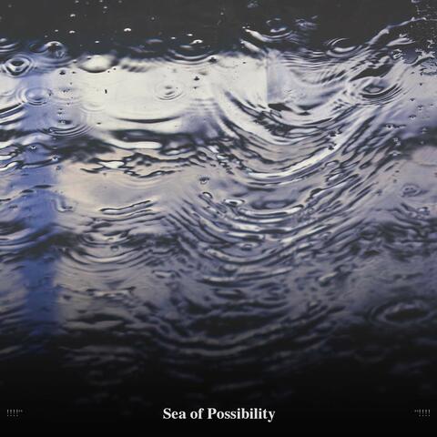 !!!!" Sea of Possibility "!!!!