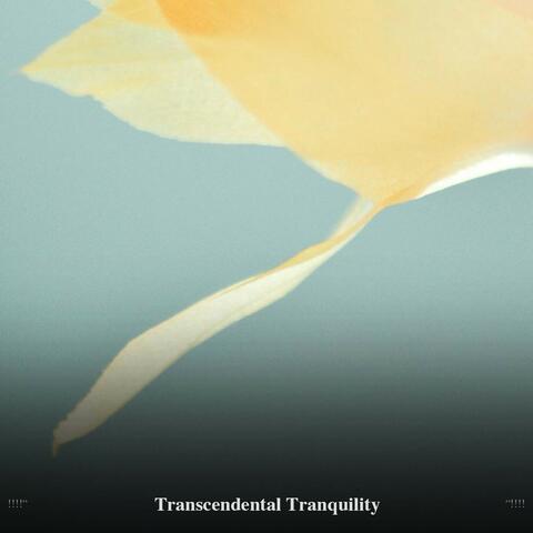 !!!!" Transcendental Tranquility "!!!!