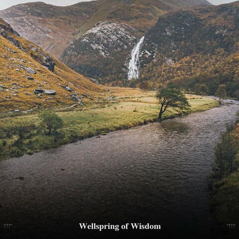 !!!!" Wellspring of Wisdom "!!!!
