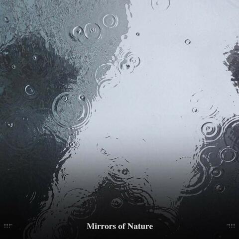 !!!!" Mirrors of Nature "!!!!