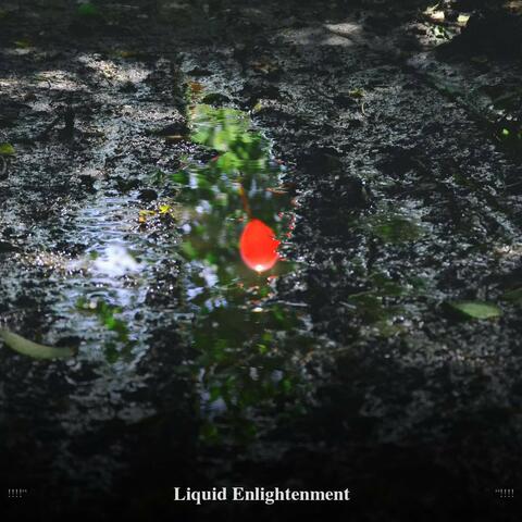 !!!!" Liquid Enlightenment "!!!!