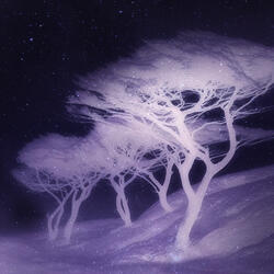 Cosmic Wind