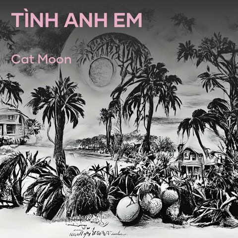 Tình Anh Em