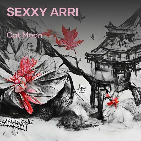 Sexxy Arri