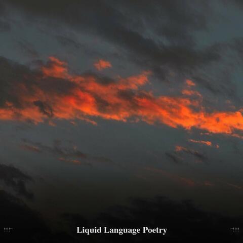 !!!!" Liquid Language Poetry "!!!!
