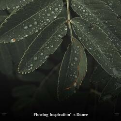 Rain At Night