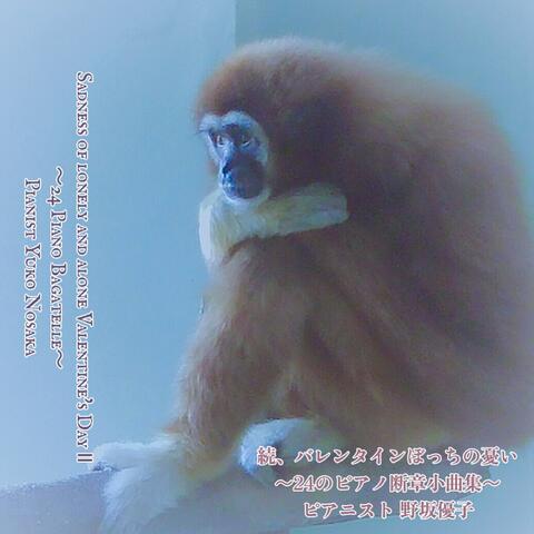 Sadness of Lonely and Alone Valentine's Day Ⅱ～24 Piano Bagatell～