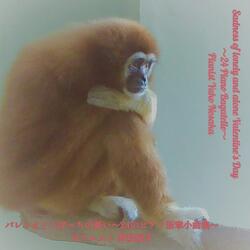 From the Window on Valentine's Day～Bagatelle Yn136