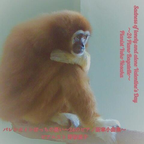 Sadness of Lonely and Alone Valentines Day～24 Piano Bagatell～