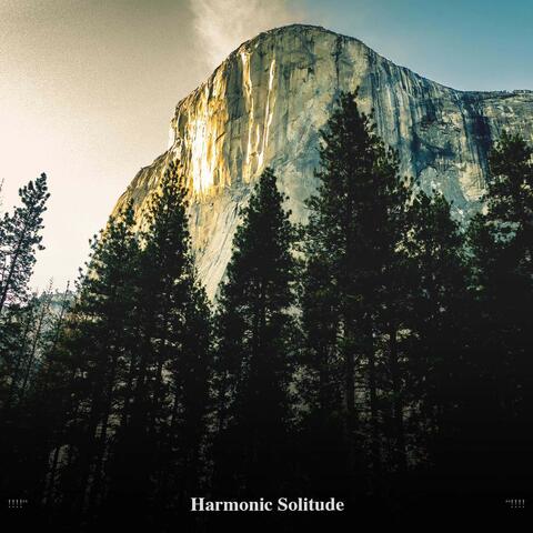 !!!!" Harmonic Solitude "!!!!
