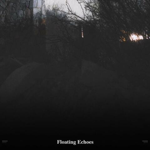 !!!!" Floating Echoes "!!!!