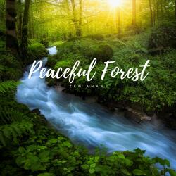 Peaceful Forest