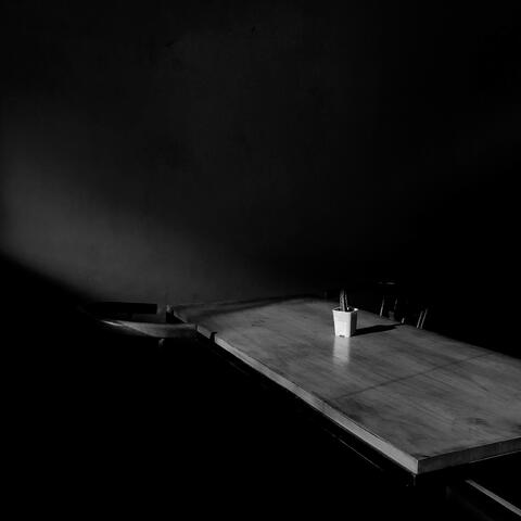 Terpaku Dalam Bayang