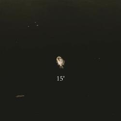 15' (My Heart Will Die)