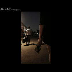 A Song For Bella (Proper Goodbye)