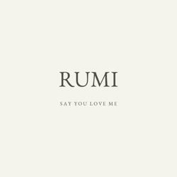Say You Love Me