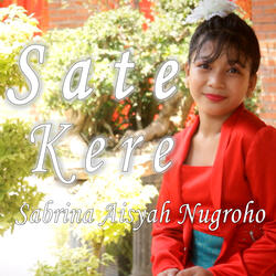 Sate Kere