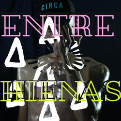Entre Hienas