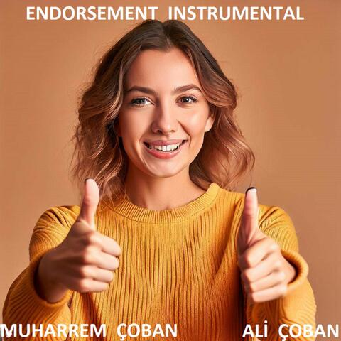 ENDORSEMENT INSTRUMENTAL