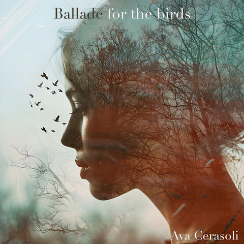 Ballade for the birds