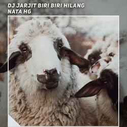 Dj Jarjit Biri Biri Hilang
