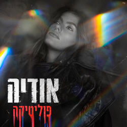 פוליטיקה