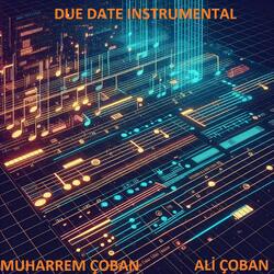 DUE DATE INSTRUMENTAL