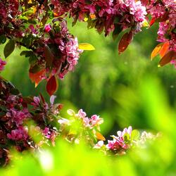 Harmony
