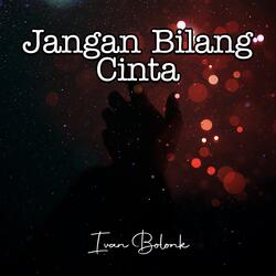 Jangan Bilang Cinta