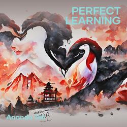 Perfect Learning