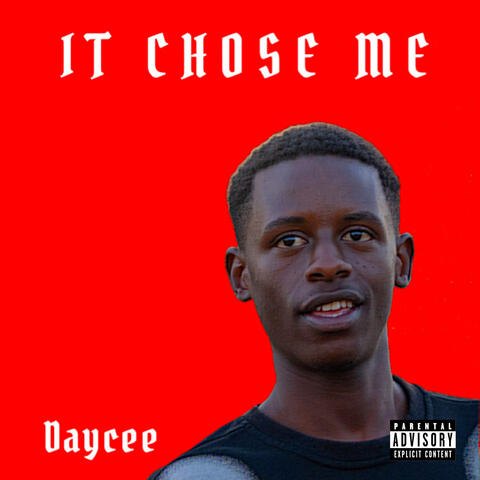 IT CHOSE ME