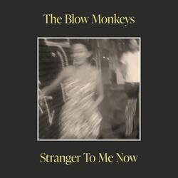 Stranger To Me Now