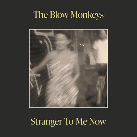 Stranger To Me Now