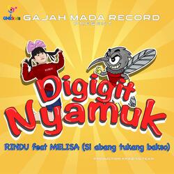 Digigit Nyamuk
