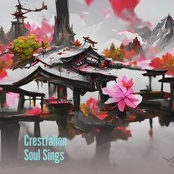 Crestfallen Soul Sings