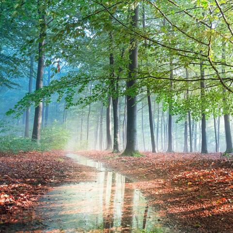 흐르는 시냇물처럼