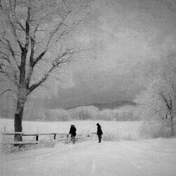 This is our forgiveness of my last spring