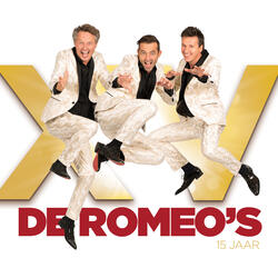 Als Je Zin Hebt In Een Feestje