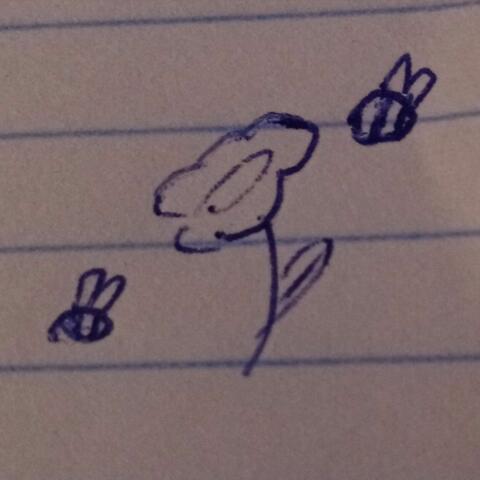 Shen
