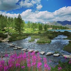 Ambient Attunement