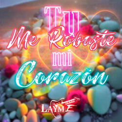 Tu me robaste mi corazón