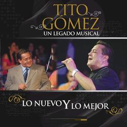 Como Podré Disimular