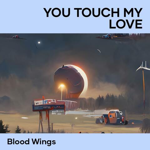 You Touch My Love