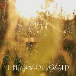 Fields of gold
