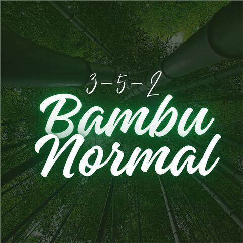 3-5-2, Bambu Normal