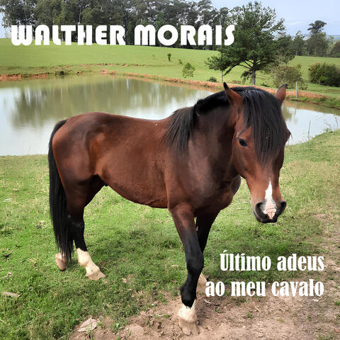 Último Adeus ao Meu Cavalo