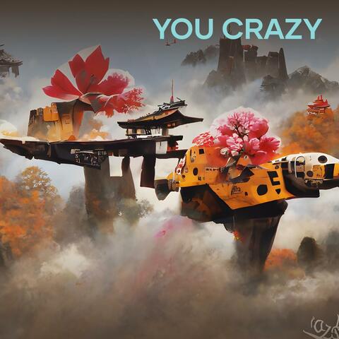 You Crazy