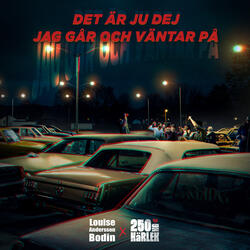 DET ÄR JU DEJ JAG GÅR OCH VÄNTAR PÅ