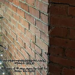 A Pure Person Who Doesn't Lie～Piano Bagatelle Yn199