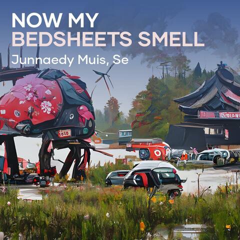 Now My Bedsheets Smell
